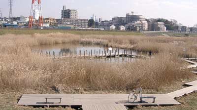 体育館 三橋